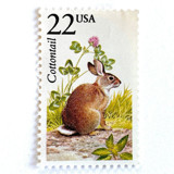 Cottontail Rabbit Postage Stamps | North American Wildlife Series | Vintage Unused USPS Postage 22c | Pack of 10 Postage Stamps