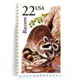 Raccoon Postage Stamps | North American Wildlife Series | Vintage Unused USPS Postage 22c | Pack of 20 Postage Stamps