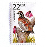Bobwhite Bird Postage Stamps | North American Wildlife Series |  Vintage Unused USPS Postage 22c | Pack of 10 Postage Stamps
