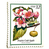 Prairie Crab Apple Postage Stamps | Flowering Trees | Midwest | Pink Flower | Wedding Stamps | Vintage Unused USPS Postage 32c | Pack of 10 Postage Stamps