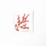 Red Winterberry Forever Postage Stamps // Set of 10 // UNUSED Vintage Stamps Postage Stamps