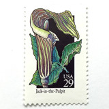 Jack-In-The-Pulpit Postage Stamps | American Wildflower Series | Green Flower | Botanical | Vintage Unused USPS Postage 29c | Pack of 10 Postage Stamps