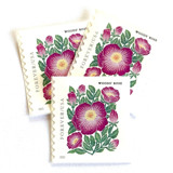 Woods' Rose Postage Stamps | Mountain Flora Series | Wedding Stamps | Vintage Unused USPS Postage Forever Stamps | Pack of 10 Postage Stamps