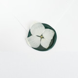 White Hydrangea Wax Seal in Green | Pack of 10 Wax Seals