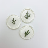 Pressed Flower Ivory Wax Seal Green Ferns Set Of 6 Wax Seals