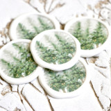 Evergreen Christmas Tree Wax Seals for Holiday Cards | Set of 25 Wax Seals