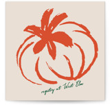 Sapori Novelty Enclosure Cards