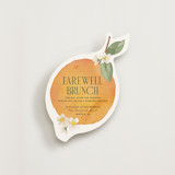 Watercolor Orange Novelty Enclosure Cards