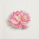 Watercolor Peony Novelty Enclosure Cards