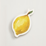 Coastal Watercolor Novelty Enclosure Cards