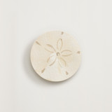 Watercolor Sand dollar Novelty Enclosure Cards