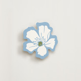 Anemones Novelty Enclosure Cards