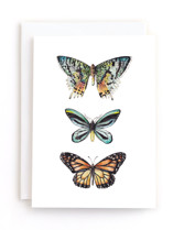 Holiday Greeting Cards