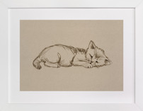 Sleep Companions 1 Nursery Art Prints