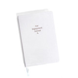 Our Engagement Journal | Gold Foil on Cream Linen Notebook Notebook