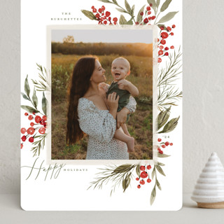 Holly Berries + Pine Grand Holiday Cards