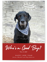 Good Boy Grand Holiday Cards