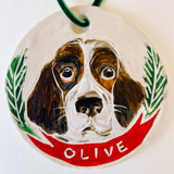 Custom Pet Ornament Ornaments