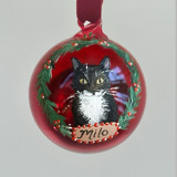 Hand-Painted Pet Ornament Ornaments