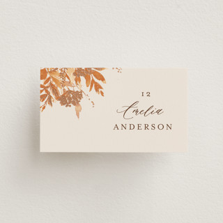 Wedding in Aspen Foil-Pressed Place Cards
