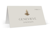 Vista Foil-Pressed Place Cards