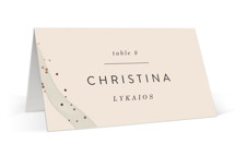 Stefana Foil-Pressed Place Cards
