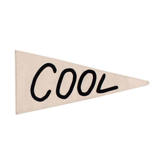 cool pennant Pennant