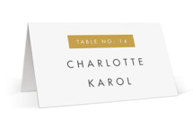 Colorfield Place Cards