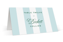 Island Palm Place Cards