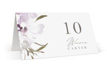 Meadow Burst Place Cards