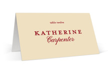 Modern Simplicity Place Cards