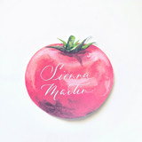 Watercolor Tomato Place Cards-Personalized Set of 10 Party Place Cards