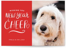 A Little Naughty Christmas Photo Cards