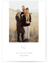 sign Christmas Photo Cards
