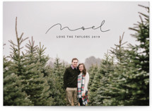minimal noel Christmas Photo Cards