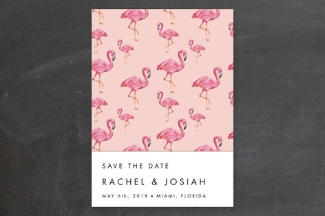 Flamingo Wedding Retired Save The Date Cards