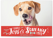 Simple Joys, Squeaky Toys Holiday Photo Cards