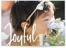 Frosted Joy Holiday Photo Cards