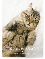 Meowy Holiday Photo Cards