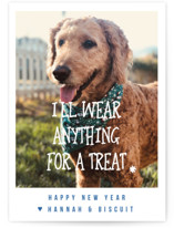 Treats Holiday Photo Cards