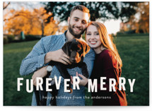 Furever Merry Holiday Photo Cards