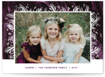 Sugar Plum Holiday Photo Cards