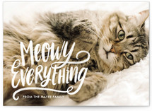 Meowy Everything Holiday Photo Cards