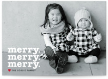 Merry Times 3 Holiday Photo Cards