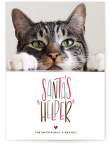 Santa's Helper Holiday Photo Cards