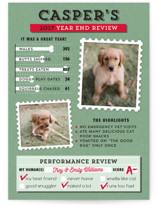Dog's Year in Review Holiday Photo Cards