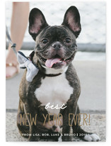 Season's Grrreetings Holiday Photo Cards