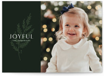 Nature Holiday Photo Cards