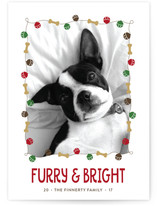 Jingle Bones Holiday Photo Cards