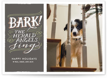 Bark! Holiday Photo Cards